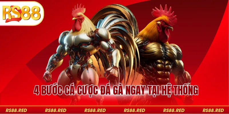 4 bước cá cược đá gà ngay tại hệ thống