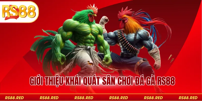 Giới thiệu khái quát sân chơi đá gà RS88